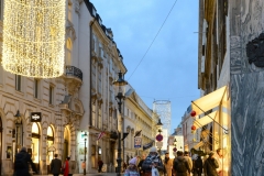 Wien127 (1 of 1)