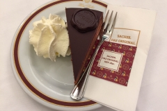 Wien28 (1 of 1)