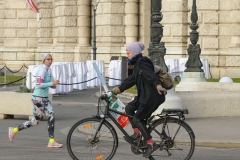 Wien349 (1 of 1)