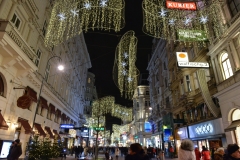 Wien377 (1 of 1)