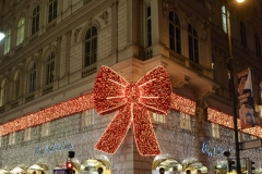 Wien379 (1 of 1)