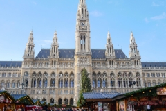 Wien490 (1 of 1)