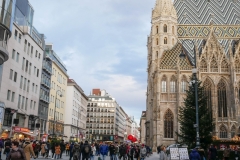 Wien65 (1 of 1)