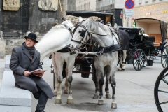 Wien77 (1 of 1)