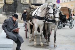 Wien78 (1 of 1)