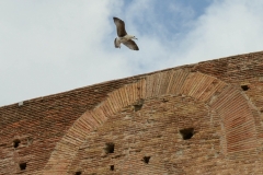 Italy112 (1 of 1)