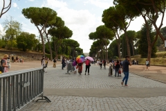 Italy119 (1 of 1)